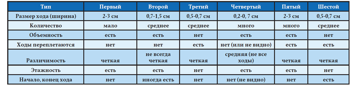 Таблица 3 Характеристики образцов ихнофоссилий, найденных в пос. Путилово