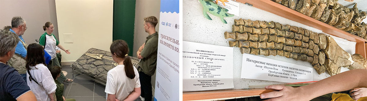 Рис. 2. Осмотр палеонтологических находок