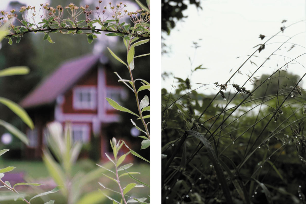 Рис. 1. УПЦ «Залучье», Тверская область