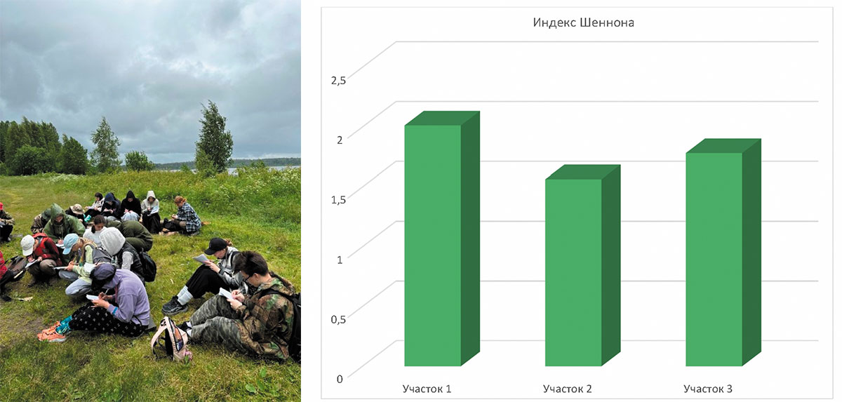 Рис. 5. Оценка видового разнообразия по индексу Шеннона