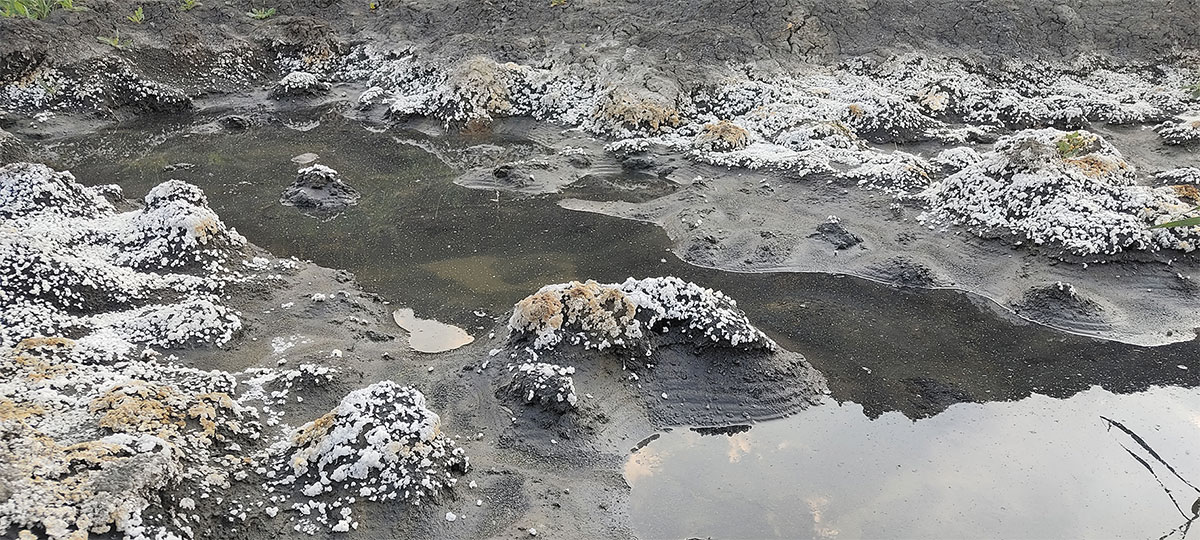 Рис. 3. Развитие оползневых и обвальных процессов на Кашпирском разрезе: а) отделившийся блок пород; б) вертикальные трещины отрыва; в) трещины вспучивания; г) микроозера на глинистой поверхности оползня