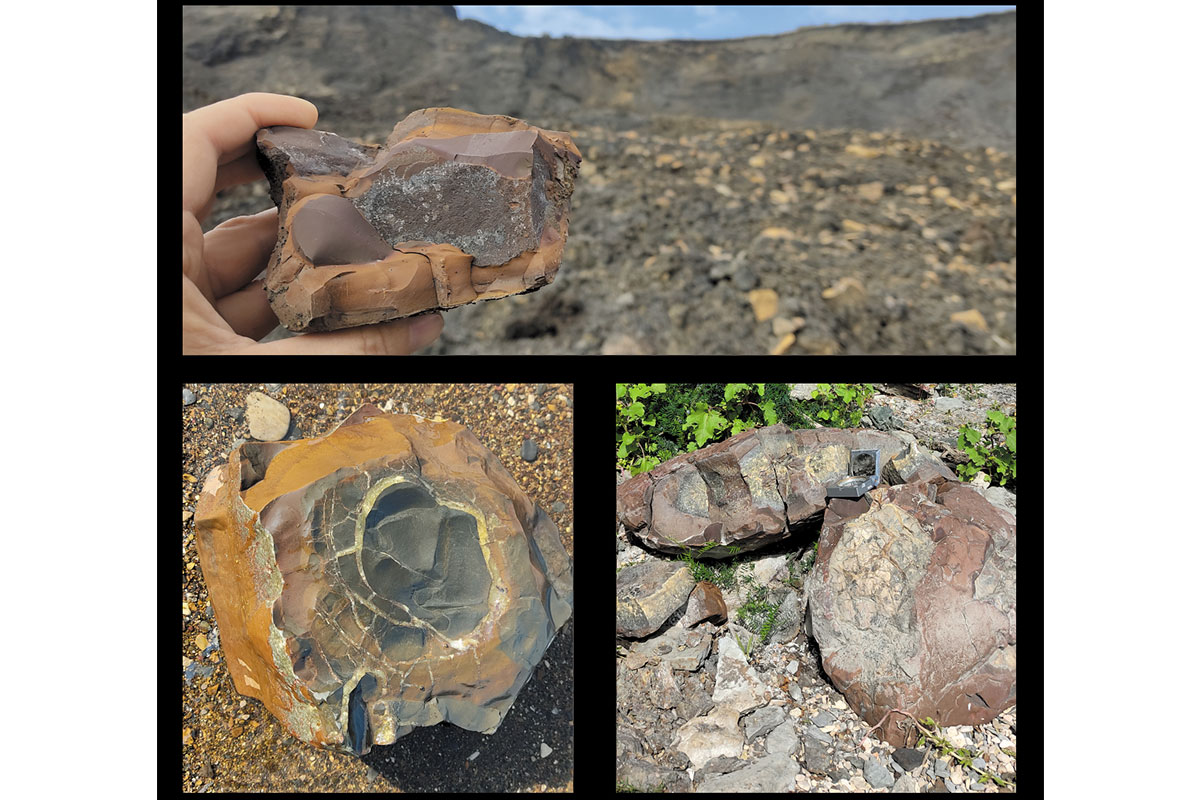 Рис. 5. Сидеритовые конкреции на Кашпирском разрезе