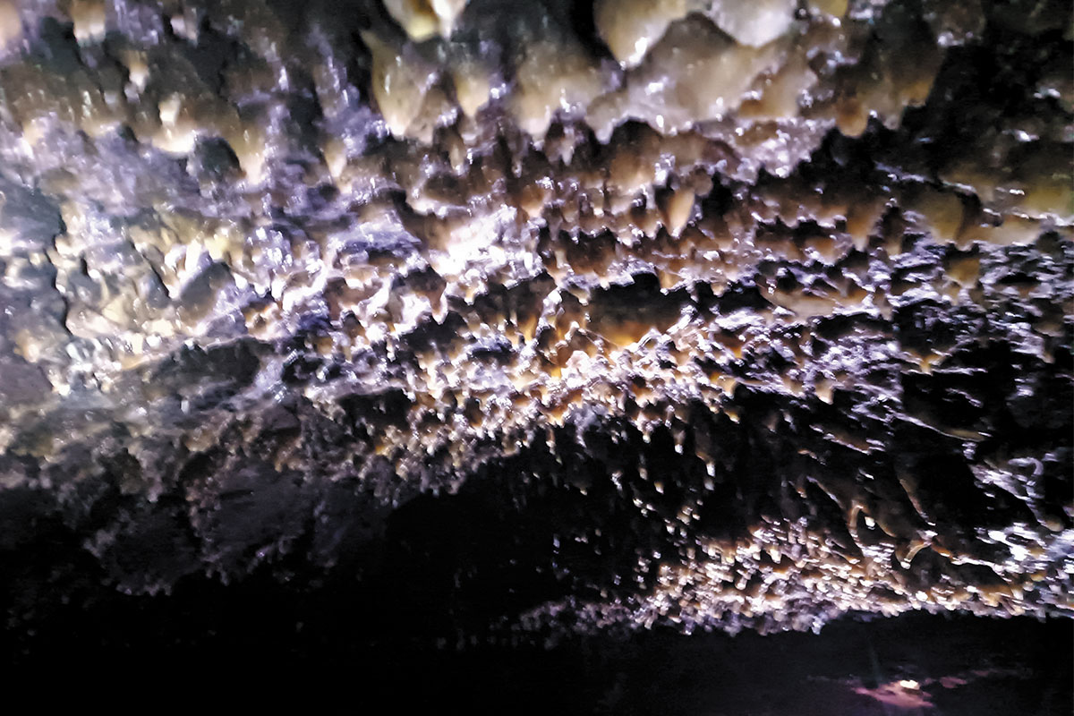 Рис. 3. Зарождающиеся сталактиты