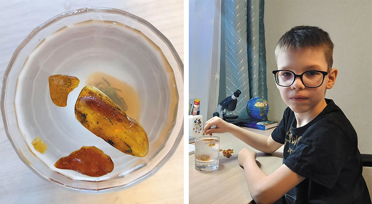 Рис. 2. Опыт по проверке янтаря на подлинность по его плотности