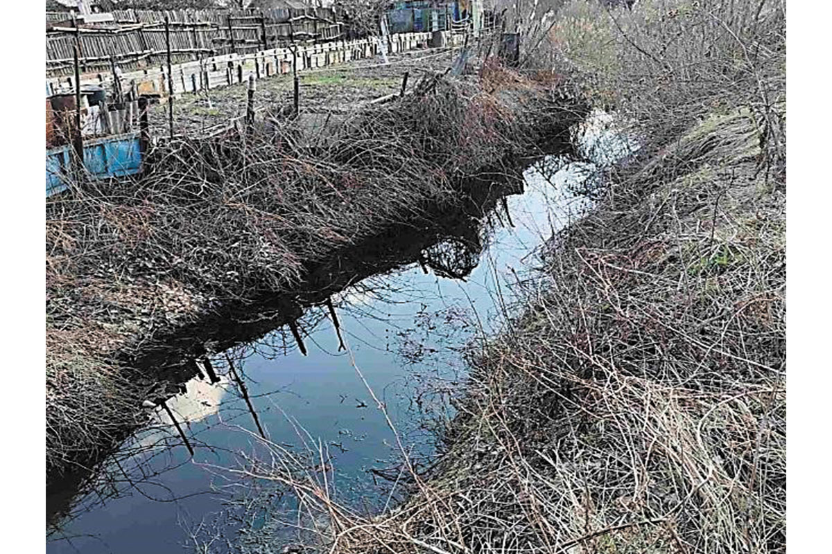 Рис. 16. Мелиоративный канал в садоводческом товариществе «Радуга»