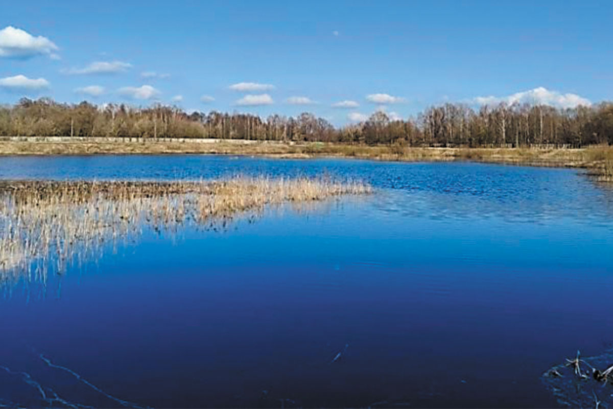 Рис. 18. Пруд рыбного хозяйства