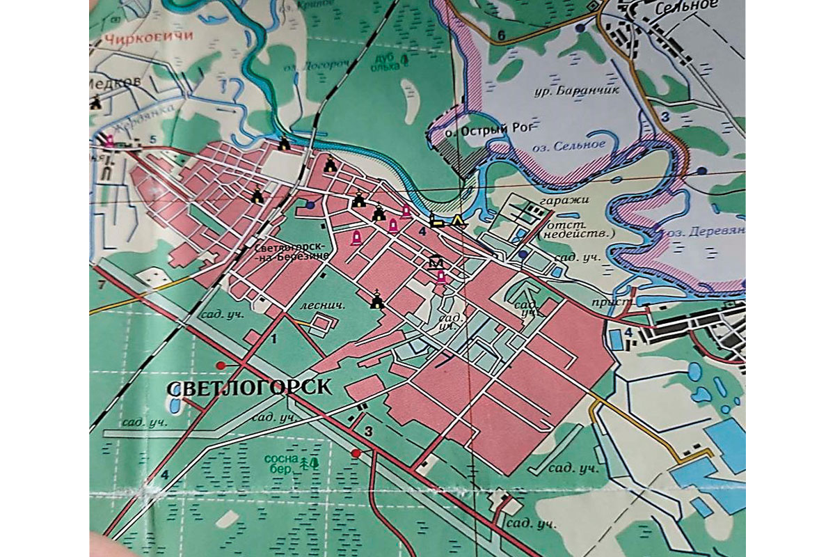 Рис. 3. Карта города Светлогорска [1]