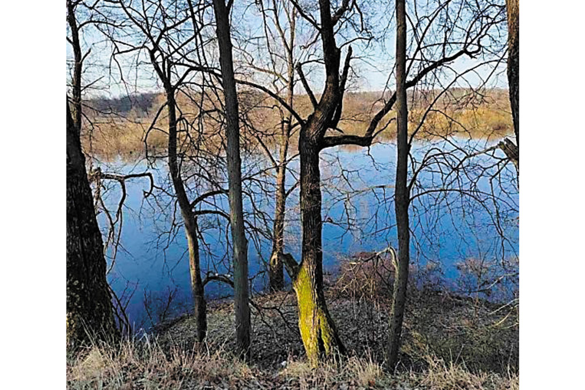 Рис. 7. Весенний паводок около Светоча в месте зарождения меандра