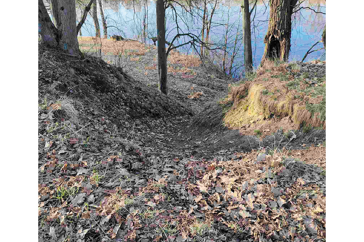 Рис. 9. Овраг на берегу Березины