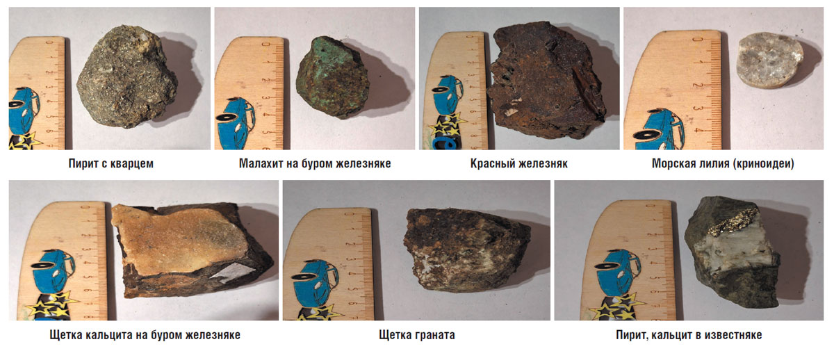 Рис. 8. Мои находки с Северо-Песчанского месторождения. Фото автора