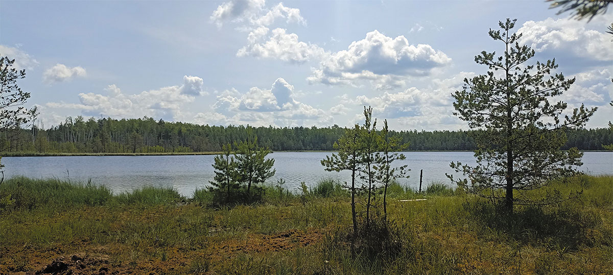 Рис. 1. Озеро Стеклянное, вид с берега. Фото автора