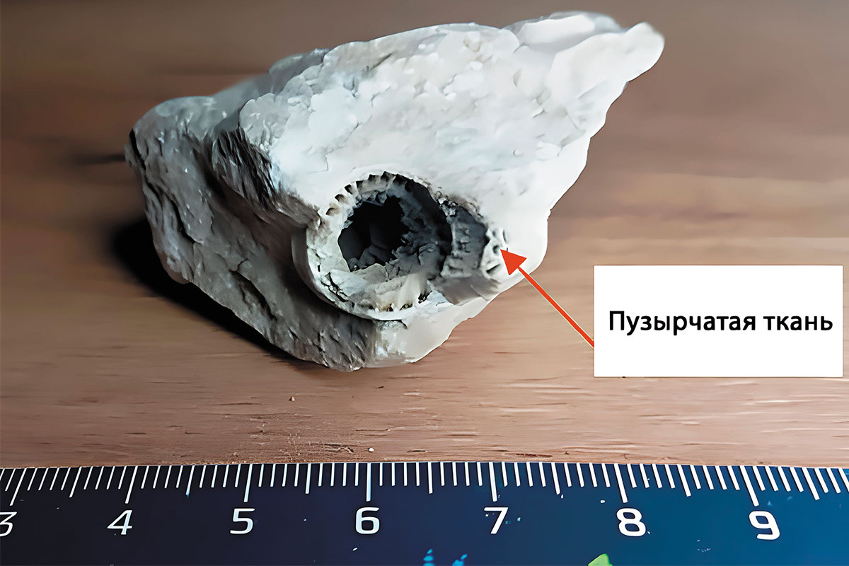 Рис. 9. Внешний вид. Фото Льва Пермякова