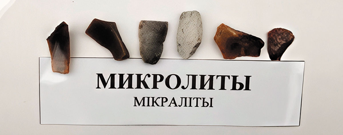 Рис. 12. Кремневые орудия труда из д. Юровичи. Фото Артемия Дудко